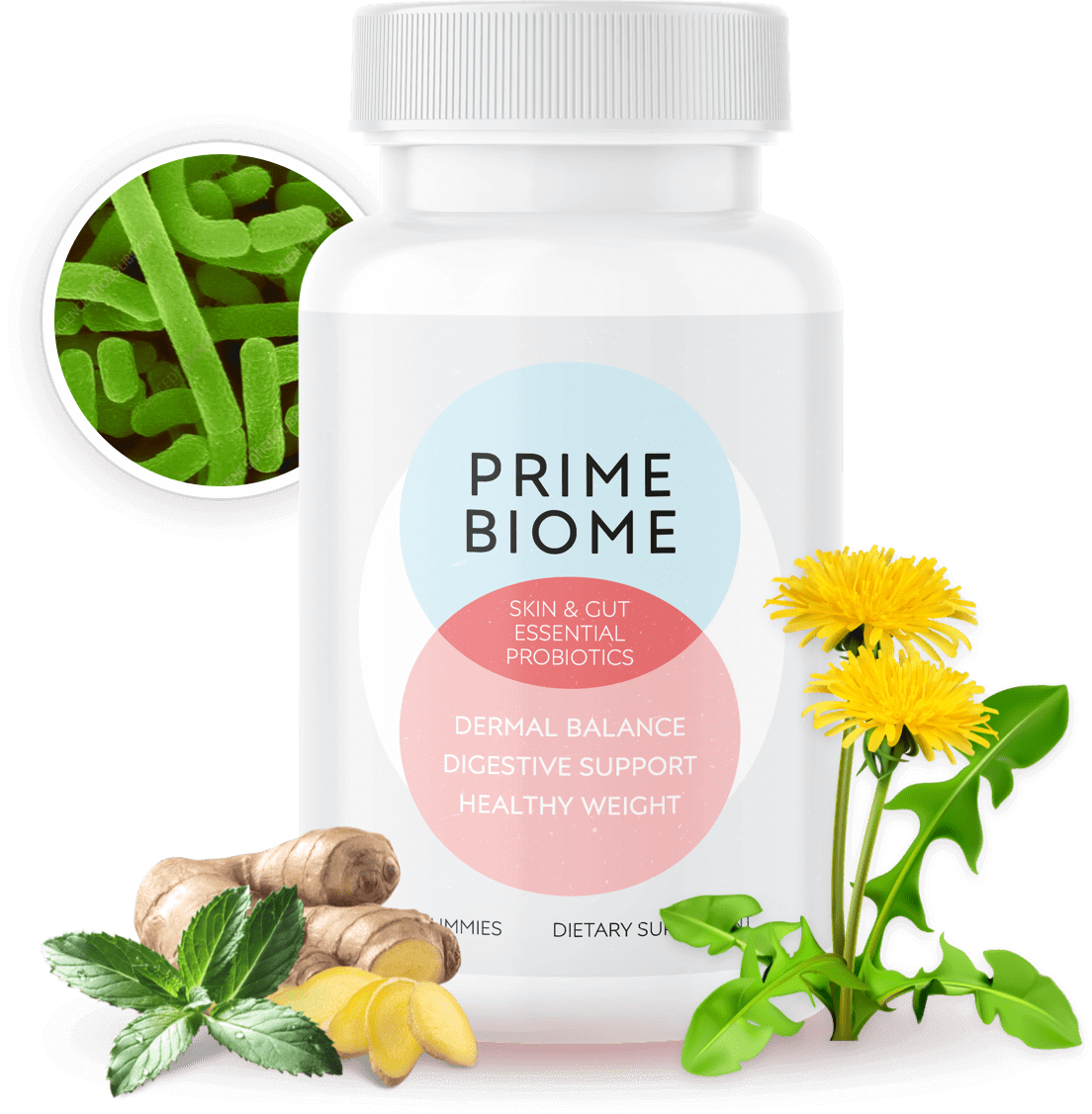 PrimeBiome bottles