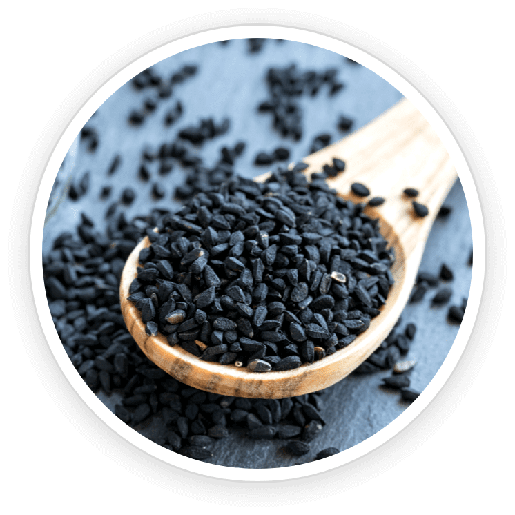 Babchi Seed Extract